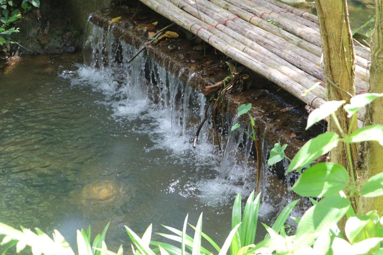 Baan Rai Me Rak Organic Farmstay Pa Khlok Extérieur photo